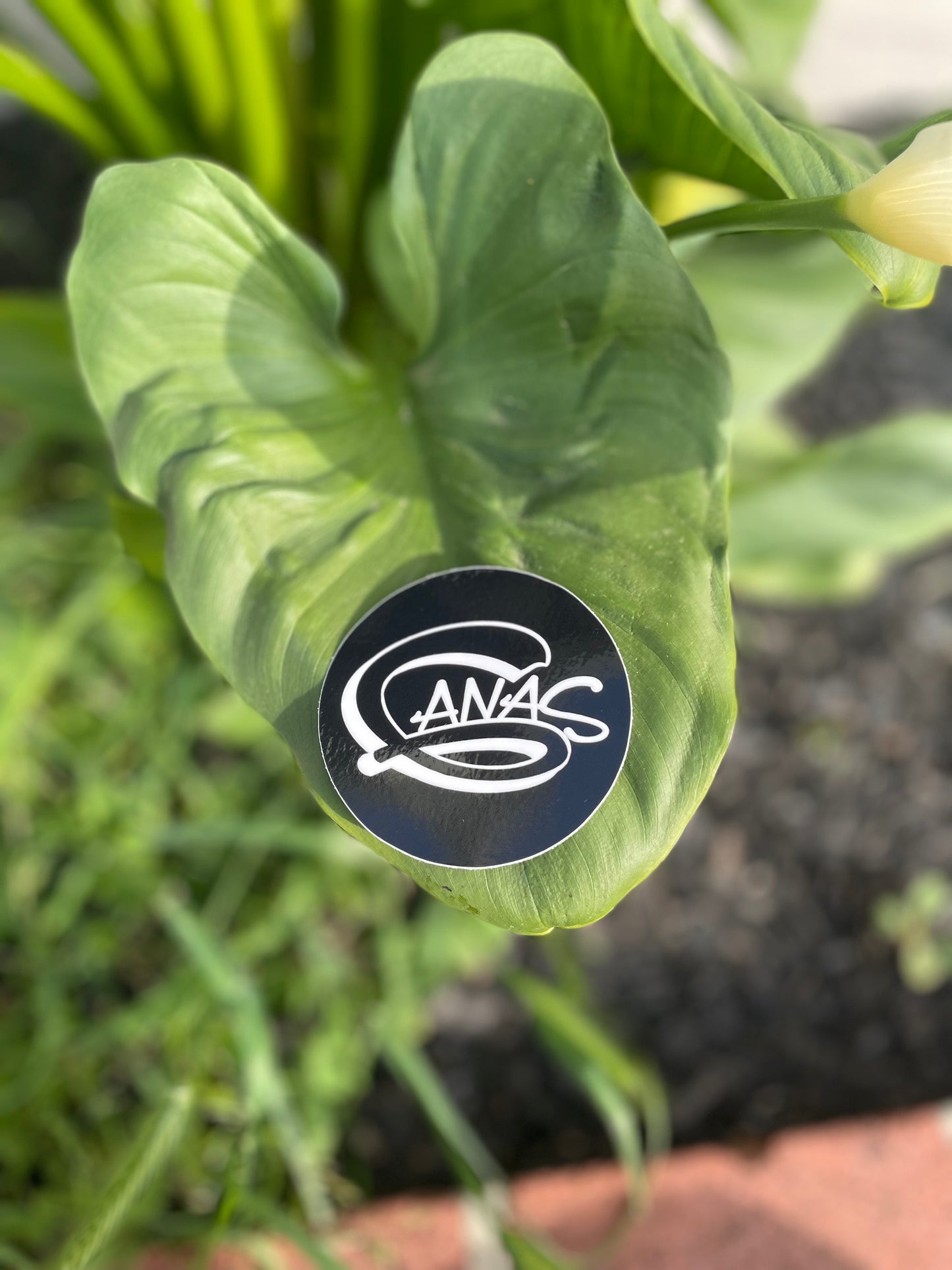 Ganas Logo Sticker