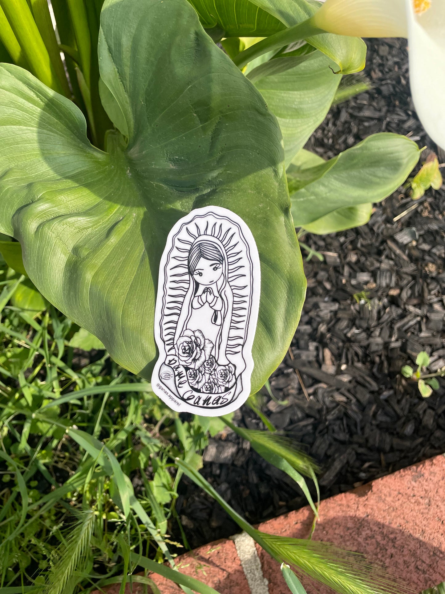 Dame Ganas Virgencita Sticker